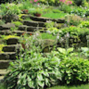 Meet your Posher, Lydia